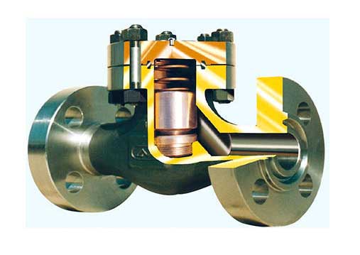 CheckValve